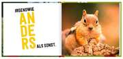 Bild 04